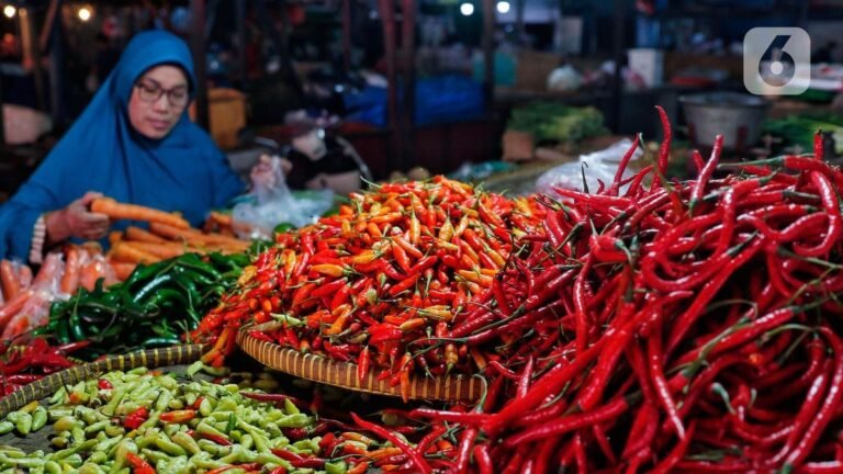 Harga Cabai Rawit Tembus Rp77 Ribu, Sonny Minta Pemerintah Tak Salahkan Cuaca